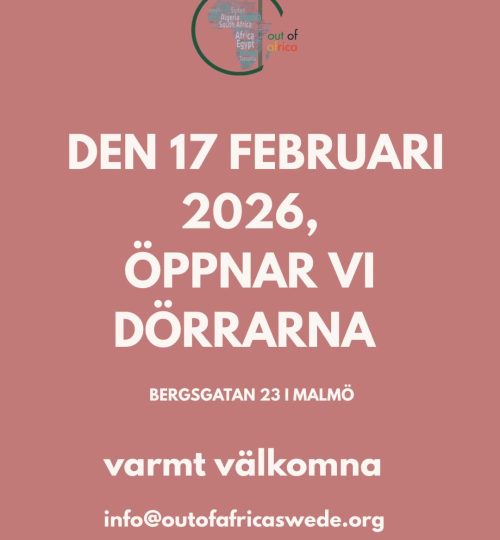 WhatsApp Image 2026-02-15 at 19.58.46 (1)