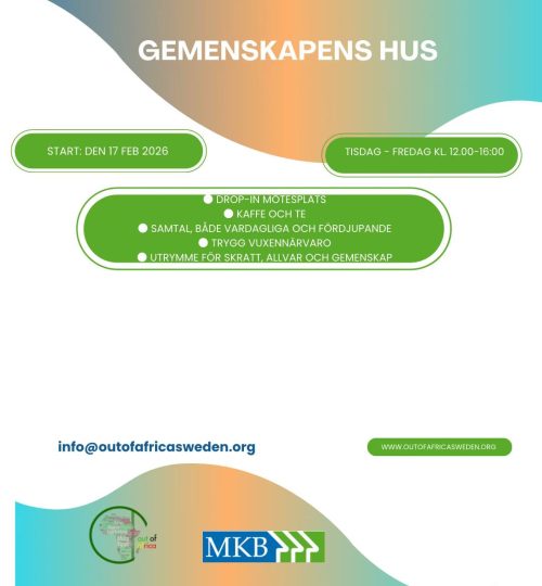 WhatsApp Image 2026-02-15 at 19.58.47